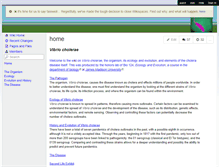 Tablet Screenshot of cholera1.wikispaces.com