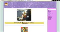 Desktop Screenshot of anatomybyadams.wikispaces.com