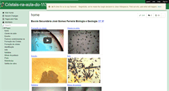 Desktop Screenshot of cristais-na-aula-do-113.wikispaces.com