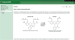 Desktop Screenshot of calceinam.wikispaces.com