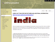 Tablet Screenshot of lmshomelessbird.wikispaces.com