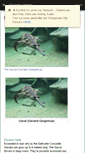 Mobile Screenshot of gavial.wikispaces.com
