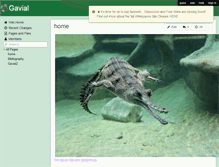 Tablet Screenshot of gavial.wikispaces.com