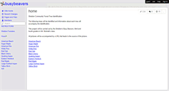 Desktop Screenshot of busybeavers.wikispaces.com