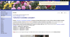 Desktop Screenshot of intel-negreaflavia.wikispaces.com