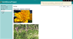 Desktop Screenshot of girlabiomeproject.wikispaces.com