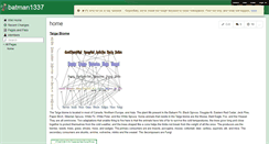 Desktop Screenshot of batman1337.wikispaces.com