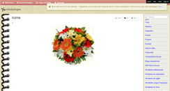 Desktop Screenshot of cidinhalopes.wikispaces.com