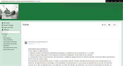 Desktop Screenshot of anamnesis17.wikispaces.com