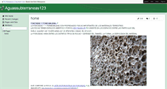 Desktop Screenshot of aguassubterraneas123.wikispaces.com